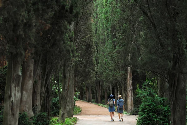 İki genç güzel esmer kız kot elbise ve şapka park uzun yeşil ağaçlar ile yol boyunca yürüyüş.
