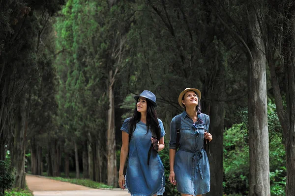 İki genç güzel esmer kız kot elbise ve şapka park uzun yeşil ağaçlar ile yol boyunca yürüyüş.