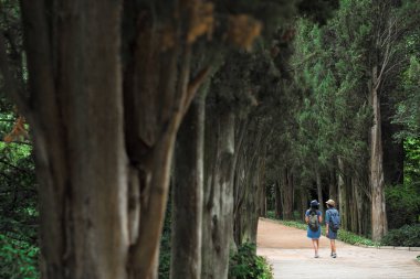 Arkadan Görünüm iki genç güzel esmer kız kot elbise ve şapka park uzun yeşil ağaçlar ile yol boyunca yürüyüş.