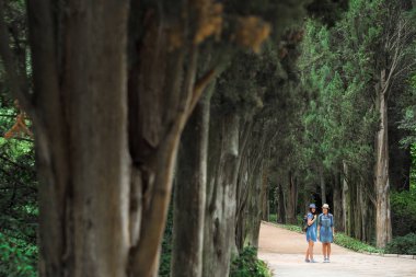 İki genç güzel esmer kız kot elbise ve şapka park uzun yeşil ağaçlar ile yol boyunca yürüyüş.
