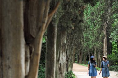 İki genç güzel esmer kız kot elbise ve şapka park uzun yeşil ağaçlar ile yol boyunca yürüyüş.