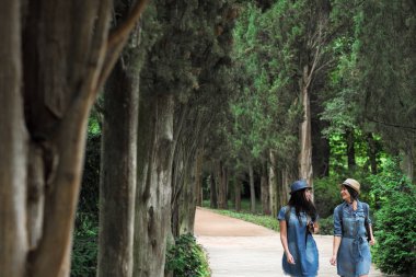 İki genç güzel esmer kız kot elbise ve şapka park uzun yeşil ağaçlar ile yol boyunca yürüyüş.