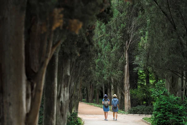 Arkadan Görünüm iki genç güzel esmer kız kot elbise ve şapka park uzun yeşil ağaçlar ile yol boyunca yürüyüş.