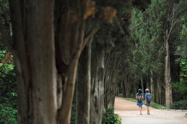 Arkadan Görünüm iki genç güzel esmer kız kot elbise ve şapka park uzun yeşil ağaçlar ile yol boyunca yürüyüş.