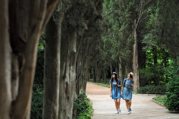 İki genç güzel esmer kız kot elbise ve şapka park uzun yeşil ağaçlar ile yol boyunca yürüyüş.