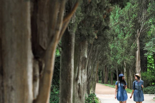 İki genç güzel esmer kız kot elbise ve şapka park uzun yeşil ağaçlar ile yol boyunca yürüyüş.