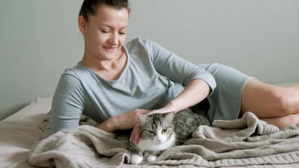 Молодая красивая женщина лежит на кровати и гладит серого кота . — стоковое видео