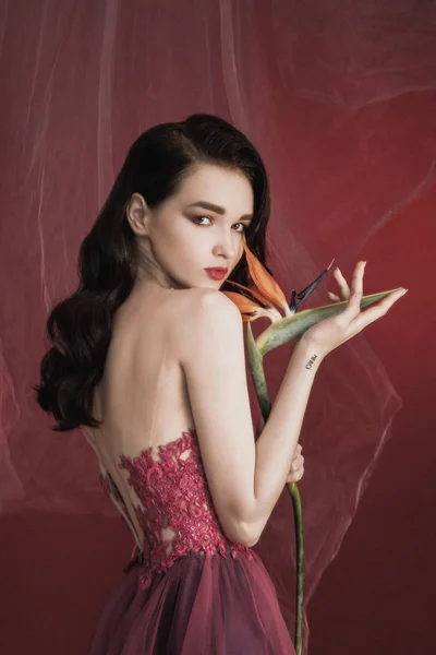 Красива дівчина модель в довгій червоній сукні на фоні кольорового вина з букетом квітів Стреліція . — стокове фото