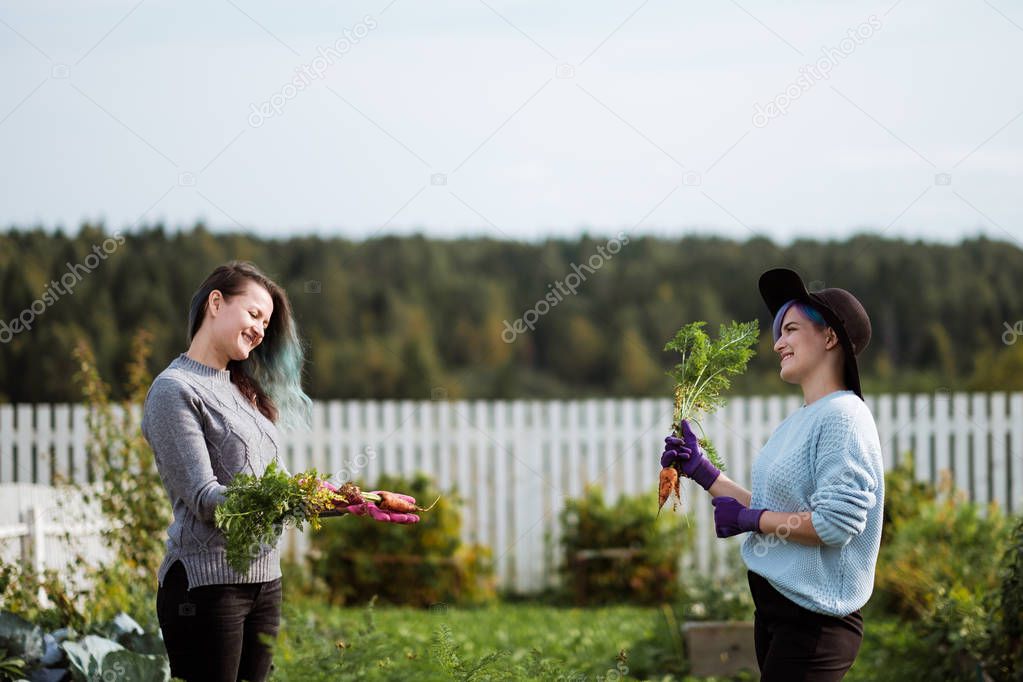 Two girls in the garden harvest carrots.