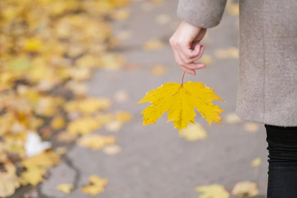 Gelbe, rote und grüne Herbstblätter im Freien in den Händen eines Mädchens. — Stockfoto