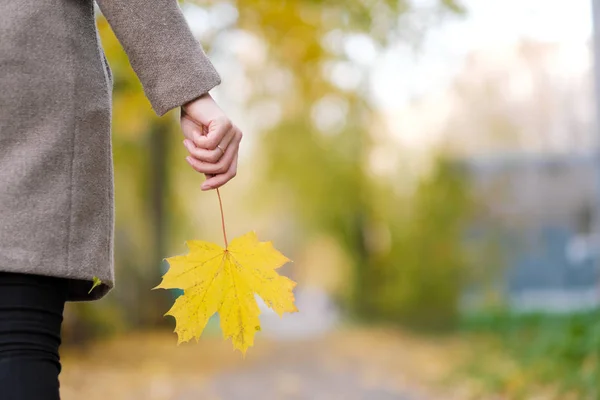 Gelbe, rote und grüne Herbstblätter im Freien in den Händen eines Mädchens. — Stockfoto