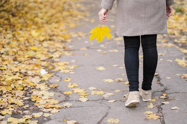 Gelbe, rote und grüne Herbstblätter im Freien in den Händen eines Mädchens. — Stockfoto