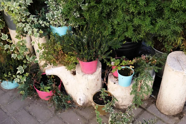 Molti vasi di fiori e piante valgono la pena all'aperto — Foto Stock