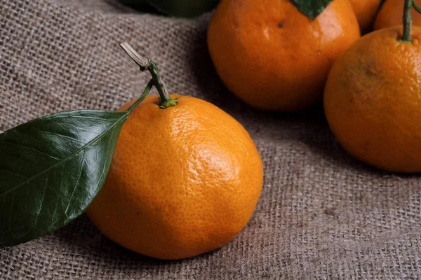 Mandalina bir arka planı gri kumaş, dalları ve yeşil yaprakları üzerinde yalan. Organik gıda.