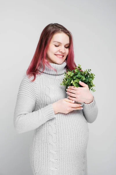 Uma mulher grávida com cabelos carmesim coloridos em um pulôver cinza de malha está segurando um pote com uma planta verde . — Fotografia de Stock