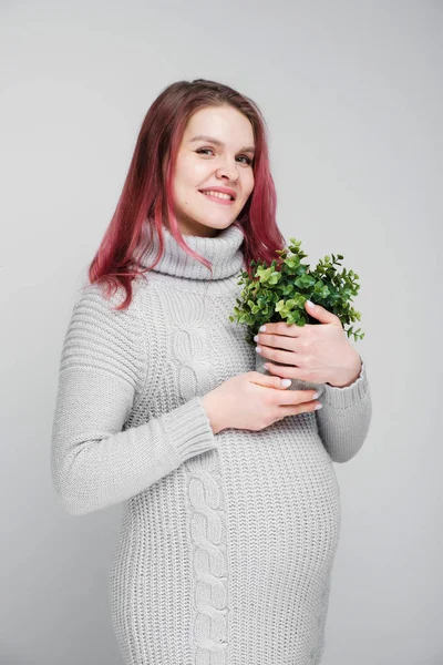 Una mujer embarazada con el pelo carmesí de color en un jersey gris de punto sostiene una maceta con una planta verde . —  Fotos de Stock