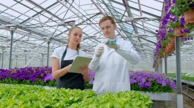 Beyaz palto ve siyah önlükleri, bilim adamları, biyologlar veya agronomistler bir genç adam ve kadın incelemek ve sera içinde çiçek ve yeşil bitkiler analiz. Test tüplerinde sıvıyı karıştırın.