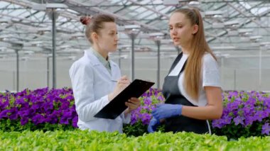 Beyaz ceketler ve siyah önlükleri olan iki kadın. Bilim adamları, biyologlar veya agronomistler incelemek ve sera içinde çiçek ve yeşil bitkiler analiz. Tablete veri yazma.