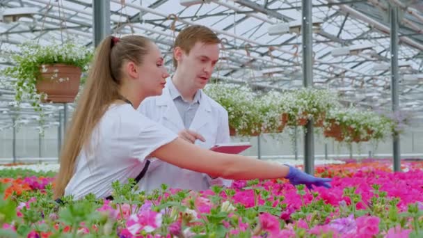 Beyaz palto ve siyah önlükleri, bilim adamları, biyologlar veya agronomistler bir genç adam ve kadın incelemek ve sera içinde çiçek ve yeşil bitkiler analiz. — Stok video