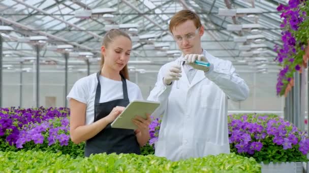 白いコートと黒いエプロンを着た若い男女、科学者、生物学者、農学者、農学者が温室の花や緑の植物を調べ、分析します。試験管に液体を混ぜる. — ストック動画