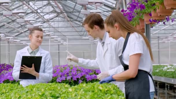 Un jeune homme et deux femmes en manteaux blancs et tabliers noirs. Trois scientifiques, biologistes ou agronomes examinent et analysent les fleurs et les plantes vertes dans une serre. Écrire des données sur la tablette . — Video