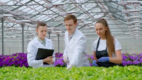 Ein junger Mann und zwei Frauen in weißen Mänteln und schwarzen Schürzen. Drei Wissenschaftler, Biologen oder Agronomen untersuchen und analysieren Blumen und Grünpflanzen in einem Gewächshaus. Daten auf das Tablet schreiben. — Stockvideo