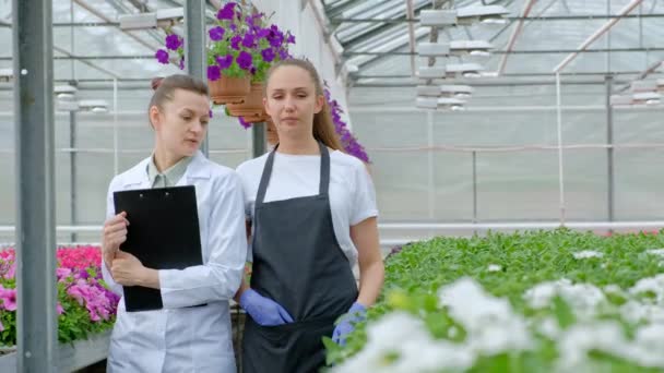 Dwie kobiety w białych płaszczach i czarnych apronach. Naukowcy, biolodzy lub agronomowie badają i analizują kwiaty i rośliny zielone w szklarni. Zapis danych do tabletu. — Wideo stockowe