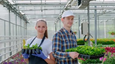 İki genç çiftçi, bir agronomist veya bir ekose iş gömlek ve apron bir çiçekçi büyük bir parlak sera arka planda yeşil bitkiler tutuyor.