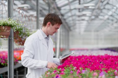 Beyaz bir ceket, bir bilim adamı biyolog veya agronomist bir genç adam inceliyor ve sera içinde çiçek ve yeşil bitkiler analiz.