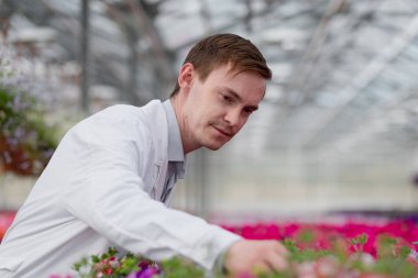 Beyaz bir ceket, bir bilim adamı biyolog veya agronomist bir genç adam inceliyor ve sera içinde çiçek ve yeşil bitkiler analiz.