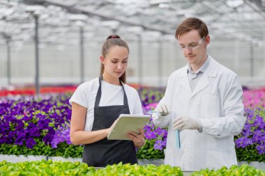 İki bilim adamı agronomist damızlık, bir adam ve bir kadın, serada numune almak.