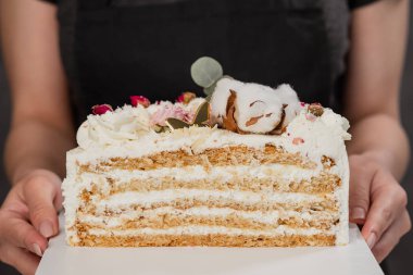 Yarım pasta. Görünür katmanları ve dolum ile bir kesme pasta yakın çekim. onditer elinde pasta tutar.