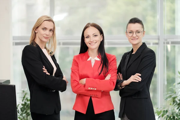 Három fiatal vonzó nők üzleti öltönyök pózol a háttérben egy könnyű irodában. Fej és beosztottak. Szakemberek és kollégák dolgozó csapata. — Stock Fotó