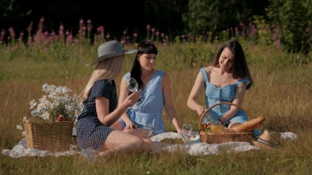 Tre unga kvinnor, Blond, brunett och med färgat hår i blå klänningar, och hattar, sitta på pläd och dricka vin från glas. Utomhus picknick på gräs i skogen. Läcker mat i picknickkorg. — Stockvideo