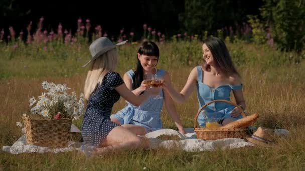 3人の若い女性、ブロンド、ブルネット、青いドレスと帽子で染めた髪を持つ、チェック柄の上に座って、グラスからワインを飲みます。森の草の上の屋外ピクニック。ピクニックバスケットでおいしい食べ物. — ストック動画