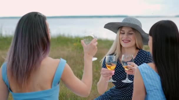 3人の若い女性、ブロンド、ブルネット、青いドレスと帽子で染めた髪を持つ、チェック柄の上に座って、グラスからワインを飲みます。森の草の上の屋外ピクニック。ピクニックバスケットでおいしい食べ物. — ストック動画
