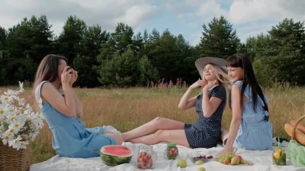 Piknik yapan üç genç çekici kız. Fotoğrafçı iki modelin aynasız kamera üzerinde fotoğraf çeker. Modeller poz ve seyretmek fotoğraf. — Stok video