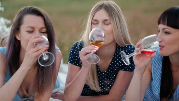 Três mulheres jovens em vestidos azuis e chapéus jazem em xadrez e bebem vinho. Piquenique ao ar livre na grama na praia. Comida deliciosa em cesta de piquenique e vinho. Melancia, uvas e buquê . — Vídeo de Stock