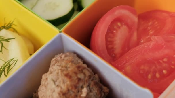 Boîte à lunch avec cellules. légumes, concombres et tomates, pommes de terre bouillies et galettes de viande . — Video