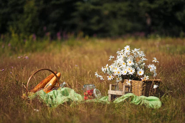 Summer picnic in the meadow on the green grass. Fruit basket, juice and bottled wine, watermelon and bread baguettes. White tablecloth and a bouquet of field daisies.