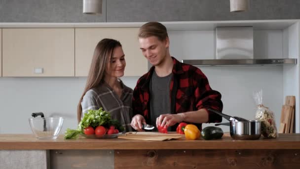 Jovem casal bonito em camisas xadrez estão cozinhando em casa na cozinha. Uma mulher e um homem cortam legumes e fazem uma salada de pimenta, tomate, rabanete em um prato de vidro transparente. . — Vídeo de Stock