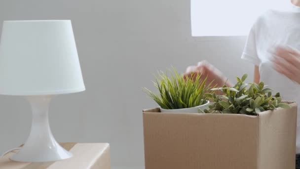 Žena v džínách a bílé tričko nosí věci a zelené rostliny z lepenkových krabic. Closeup ženských rukou. — Stock video