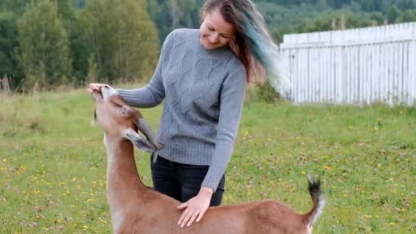 Joven pareja hermosa en suéteres y sombreros contra el fondo de la naturaleza, campos con hierba verde y bosque. La gente alimenta y acaricia las cabras . — Vídeos de Stock