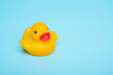 Mavi bir arka plan üzerinde sarı kauçuk oyuncak su kuşu. Alanınızı, havuz konseptini kaydedin.