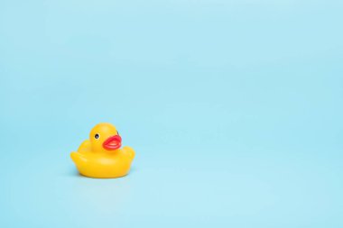 Mavi bir arka plan üzerinde sarı kauçuk oyuncak su kuşu. Alanınızı, havuz konseptini kaydedin.