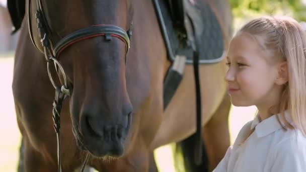 Menina adolescente caminha no campo com um cavalo marrom . — Vídeo de Stock