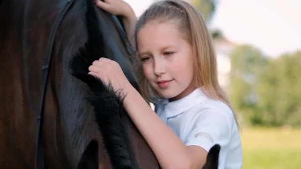 Chica adolescente camina en el campo con un caballo marrón . — Vídeos de Stock