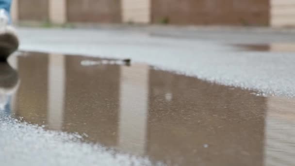 ジーンズやスニーカーの女性の足の閉鎖。雨の日に水溜りを歩く. — ストック動画