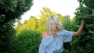 Mavi bir yaz elbisesi içinde 21 yaşında güzel bir kızın portresi. Kadın gülümsüyor. Güzel dudaklar ve gözler. Uzun kıvırcık sarı saçlar..