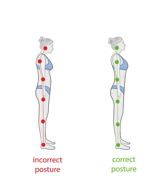 Alineación Correcta Del Cuerpo Humano Postura Pie Para Una Buena — Archivo Imágenes Vectoriales